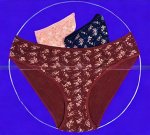 Трусы женские DOMINANT Турция большие размеры высокая посадка &quot;Неделька - 3 шт.&quot; арт.   55000-321