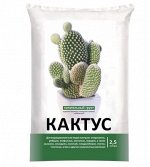 ГР Кактус 2,5л сукуленты НА 1/20