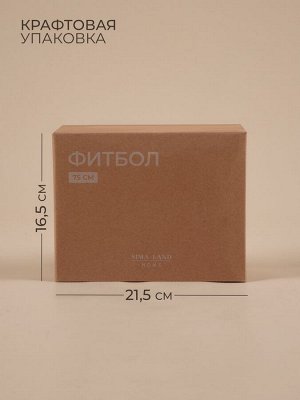 Фитбол Sima-Land Home, d=75 см, 1000 г, антивзрыв, цвет белый