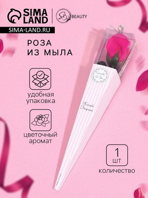 Мыльная роза, фуксия