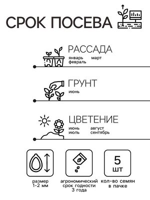 Семена комнатных цветов Пеларгония "Рафаэлла", F1, 5 шт.