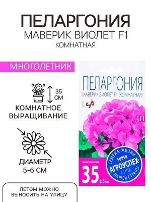 Семена комнатных цветов Пеларгония "Виолет", 4 шт.