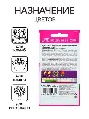 Семена комнатных цветов Пеларгония "Виолет", 4 шт.