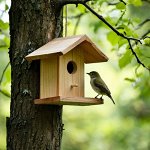 ДАЧНЫЙ СЕЗОН. Скворечники и кормушки для птиц