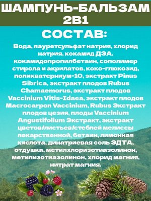 Свобода Подарочный набор для мужчин SVOBODA NATURAL &quot;СВЕЖЕСТЬ ГОР&quot; шампугь-бальзам + гель для душа