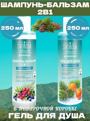 Свобода Подарочный набор для мужчин SVOBODA NATURAL &quot;СВЕЖЕСТЬ ГОР&quot; шампугь-бальзам + гель для душа