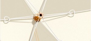Складной зонт-колпак для защиты еды, 70 см