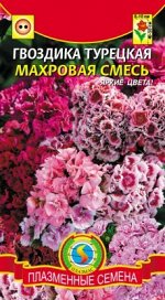 Цветы Гвоздика турецкая Махровая Смесь ЦВ\П (ПЛАЗМА) двулетник 40-50см