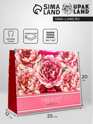 Пакет подарочный горизонтальный Present with Love, 49*40*19 см