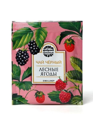 Чай подарочный «С днём защитника отечества», 20 пакетиков