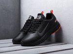 Кроссовки  Air Pegasus +30