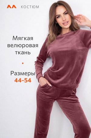 Женский костюм из велюра, цвет сухая роза (светлый томный махагоновый с сильным оттенком какао и тоном сангрии)