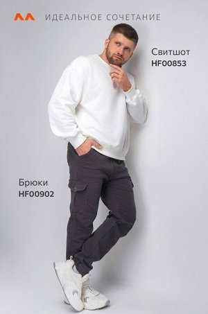 Мужские брюки-джоггеры Happyfox