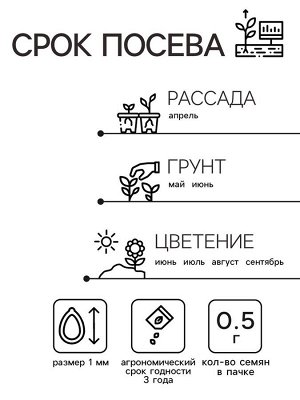 Семена цветов Цинния Шаровидная, смесь окрасок, О, 0,5 г