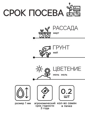 Семена цветов Маттиола Левкой "Букетная", смесь окрасок, О, 0,2 г