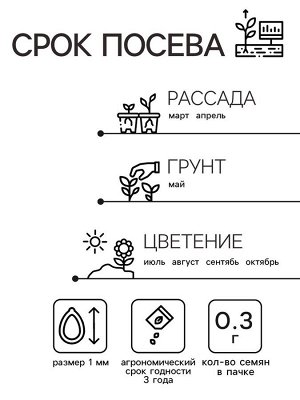 Семена цветов Гелихризум "Зимний букет", смесь окрасок, О, 0,3 г