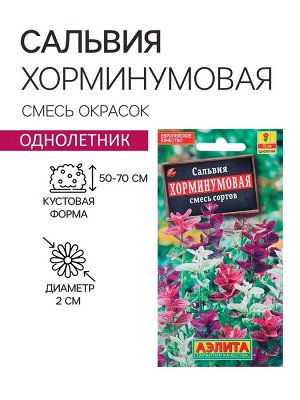 Семена цветов «Сальвия Хорминумовая», смесь окрасок, однолетник, для кашпо, цветника 0.3 г