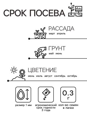 Семена цветов «Сальвия Хорминумовая», смесь окрасок, однолетник, для кашпо, цветника 0.3 г