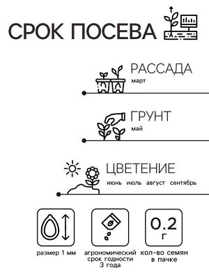 Семена цветов Флокс "Звездный дождь", смесь окрасок, О, 0,2 г
