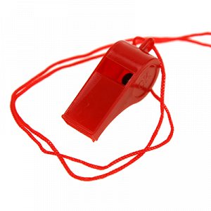 Свисток пластмассовый 5х1,5х2см со шнурком, набор 24 штуки, на картоне, цвета микс (Китай)