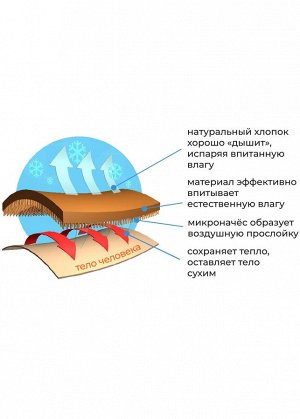 MP600320нач ТЕРМО кальсоны рост 176 до -10°С (Clever)