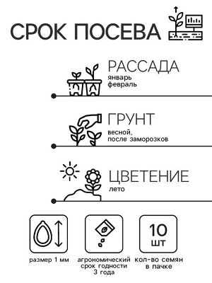 Семена цветов Дельфиниум садовый "Бенари Пасифик Верблюд", 10 шт