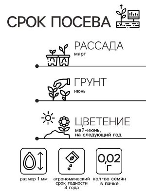 Семена цветов Камнеломка "Цветочный ковер", 0,02 г