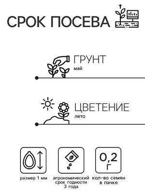 Семена Цветов Иберис зонтичный "Снежная вьюга" , 0 ,2 г .