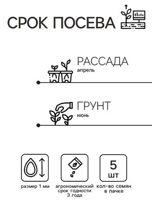 Семена цветов Ковыль "Фейерверк", 5 шт.