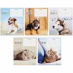 Тетрадь 12л., клетка ArtSpace &quot;Питомцы. So cute&quot;
