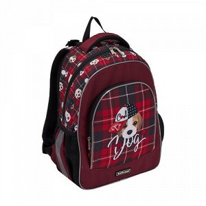 Рюкзак школьный ErichKrause ErgoLine 15L Cute Dog 51599