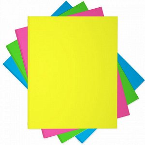 Тетрадь 80л А5 клетка на кольцах ErichKrause Neon 45180