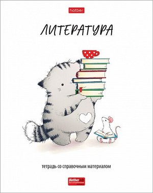 Тетрадь 48л А5 линейка Приключения кота Пирожка Литература 48Т5Вd2_33042