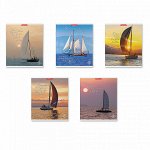 Тетрадь 48л А5 клетка ErichKrause Sea Breeze 54261