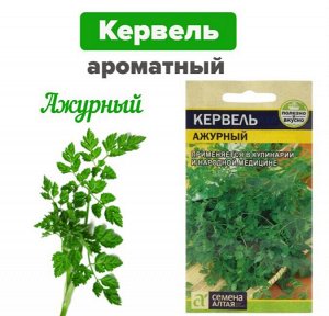 Семена Кервель "Ажурный"