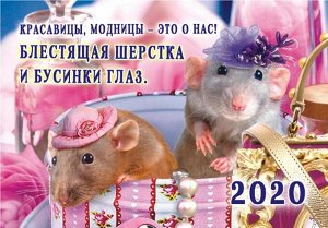 Карманный календарь 2020 с глиттером &quot;Год крысы (коллаж)&quot;