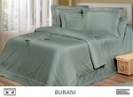 Дизайн Burani