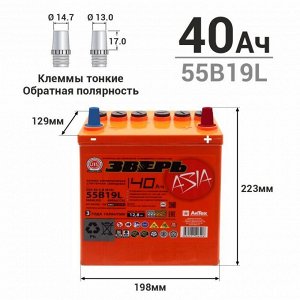 Аккумулятор Зверь ASIA 55B19L (6СТ-40LУ(R) / ZVA 40-3-R), 40Ач, ССА 450А, необслуживаемый