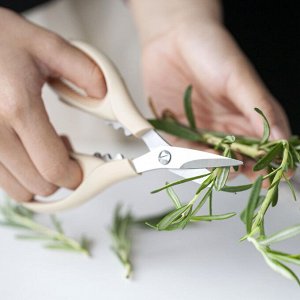 Ножницы кухонные 16,5см