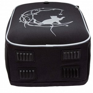 Легкий ранец GRIZZLY с двумя отделениями, для девочки