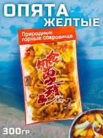 Грибы опята желтые &quot;мокрые&quot; 300г Китай (shuangsheng food co ltd) Китай