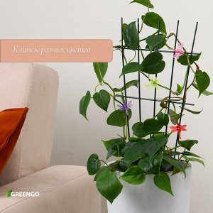 Клипса для растений «Стрекоза», набор 10 шт., МИКС, Greengo