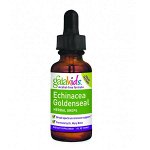 Gaia Herbs, Kids, эхинацея и желтокорень канадский в каплях, бесспиртовая рецептура, 30 мл