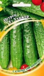 Семена Огурец Ухажер