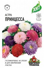 Астра Принцесса, однолетняя (смесь) 0,2 г ХИТ х3 DH