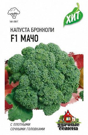Капуста брокколи Мачо F1 0,2 г ХИТ х3