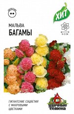 Мальва Багамы смесь 0,1 г ХИТ х3
