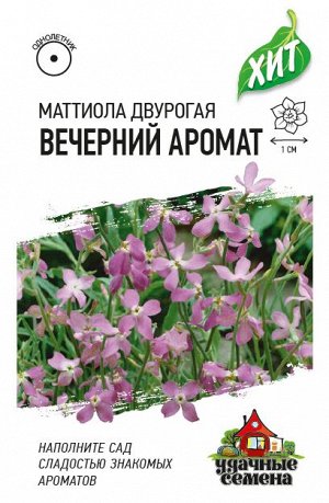Маттиола двурогая /Левкой/ Вечерний аромат 0,3 г ХИТ х3