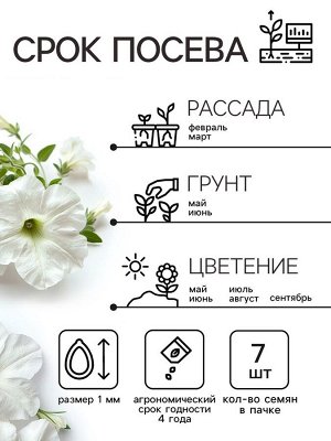 Семена Петуния "Мамбо" F1 белая многоцветковая, 7 шт
