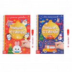 Набор новогодних многоразовых книг №1 «Пиши-стирай», 2 шт. по 12 стр.